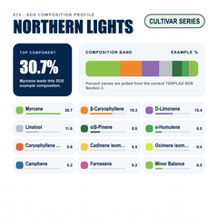 Northern Lights composition profile