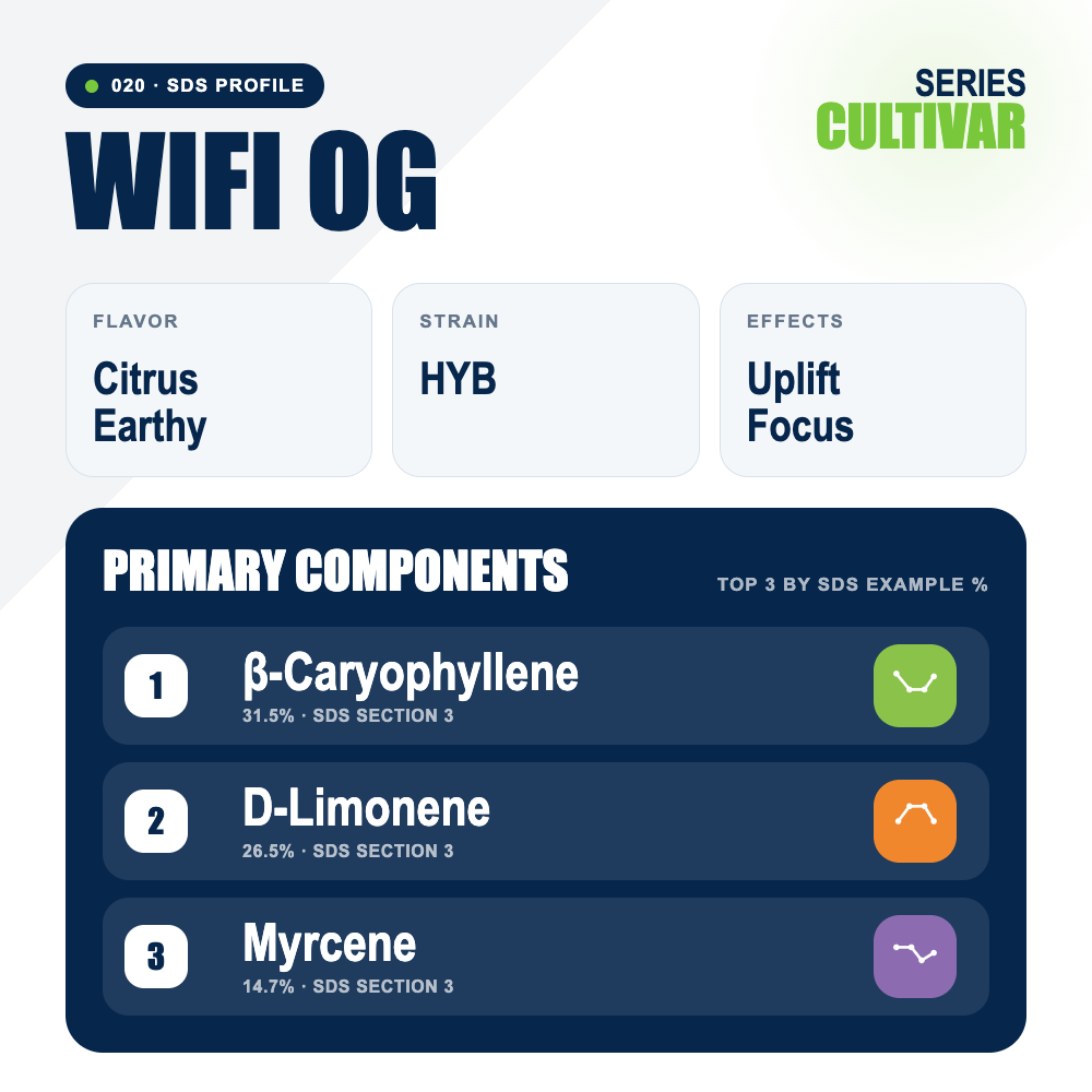 WiFi OG top profile