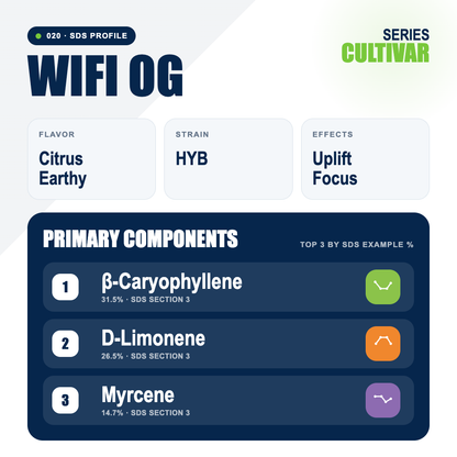 WiFi OG top profile