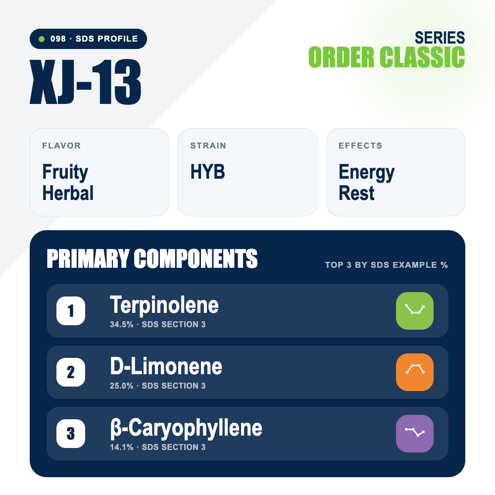 XJ 13 top profile